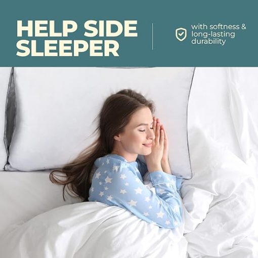 Egyptian Cotton Pillow